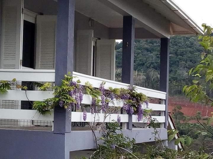 Casa Deni Villa Nova Petropolis Buitenkant foto